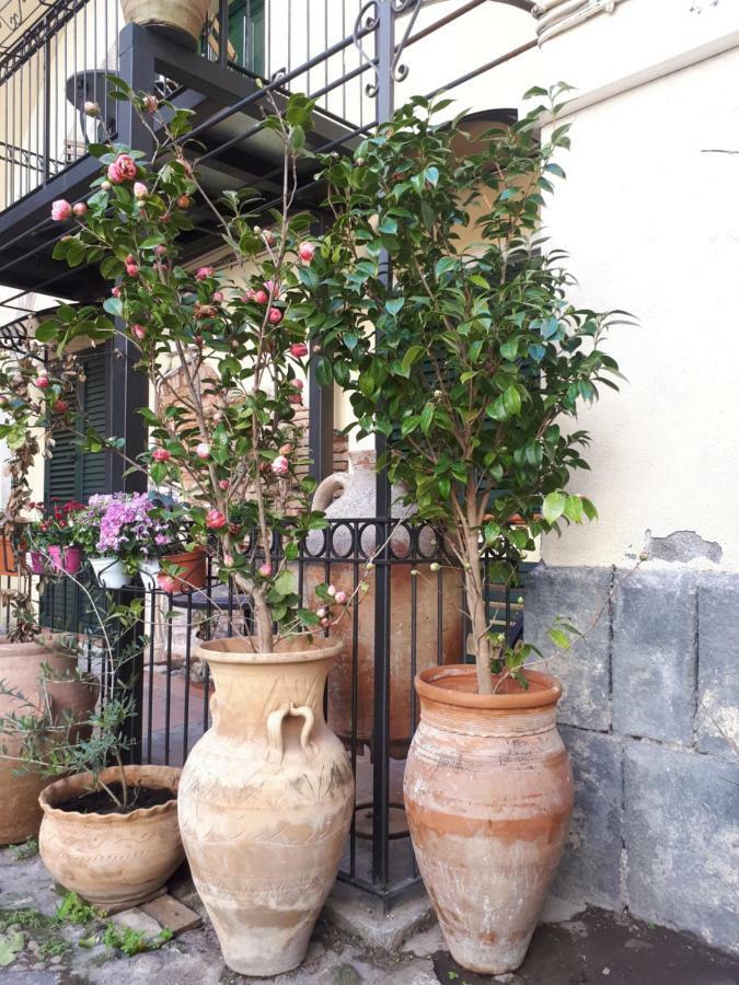 Mamarico' Apartament Catania Ngoại thất bức ảnh